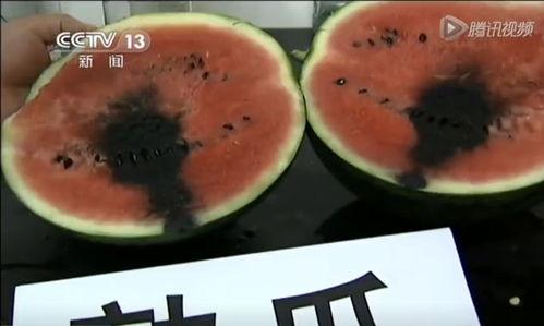 西瓜视频新人吃瓜,揭秘热门视频背后的故事