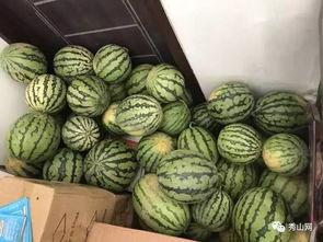 吃瓜链接群,网络社交新趋势下的娱乐风向标