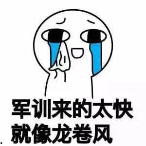 即将军训群众吃瓜,群众围观“吃瓜”盛况，揭秘新生军训幕后趣事  第2张