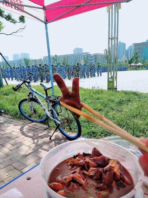 即将军训群众吃瓜,群众围观“吃瓜”盛况，揭秘新生军训幕后趣事  第3张