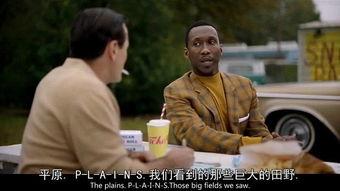 奥斯卡吃瓜的眼神,吃瓜群众眼神解码，揭秘明星幕后故事