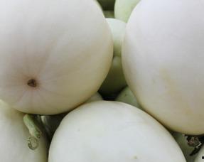 吃瓜大队简介,揭秘网络舆论场中的“瓜农”生活