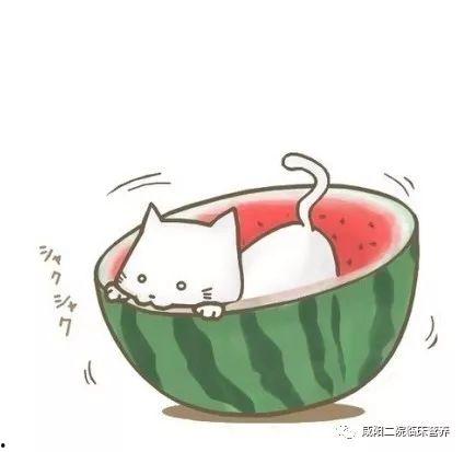 成人qq吃瓜群头像  第1张