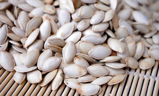 吃籽的角瓜种子,从种子到餐桌的蜕变  第1张