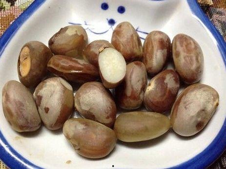 吃籽的角瓜种子,从种子到餐桌的蜕变  第3张