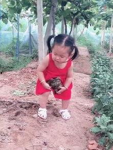 姑娘扔竹竿吃瓜