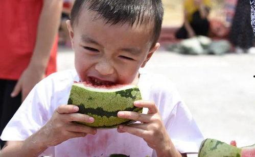 吃瓜吃到爸妈头上,一场家庭“瓜田”风波