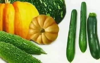 七晴吃瓜后续,幕后真相与精彩瞬间  第2张