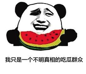 网络流行用语吃瓜,揭秘网络流行语“吃瓜”背后的故事