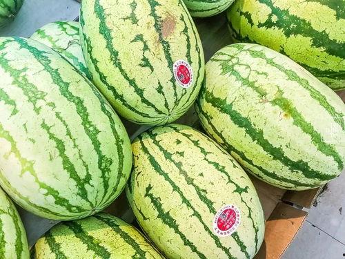 吃瓜年代感,见证时代变迁的民间娱乐史  第1张