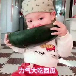 宝宝吃瓜视频全集,萌娃瓜趣大集合