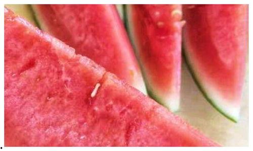 沙瓜和脆瓜吃的区别,口感与营养的差异化体验