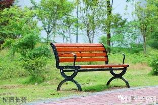 长椅校园吃瓜,揭秘校园生活点滴