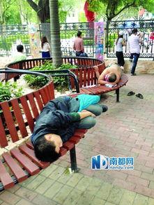 长椅校园吃瓜,揭秘校园生活点滴