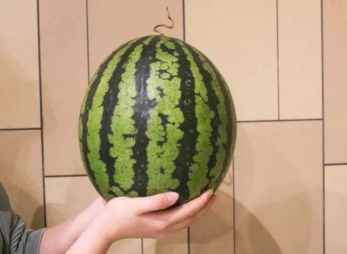 广州吃大瓜,大瓜盛宴，味蕾之旅