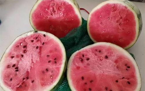 孕期吃麒麟瓜草莓,麒麟瓜与草莓的孕期美味之旅