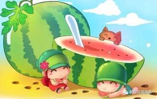 吃瓜 历险记,一场味蕾与冒险的奇幻之旅  第1张
