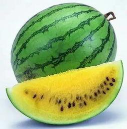 为什么吃瓜消暑,揭秘吃瓜的清凉奥秘  第2张