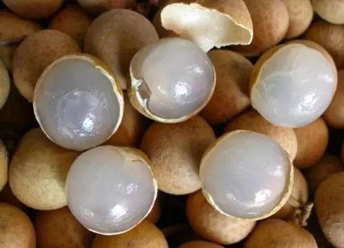 云朵酒店睡觉吃瓜,悠闲梦境中的瓜果时光  第3张