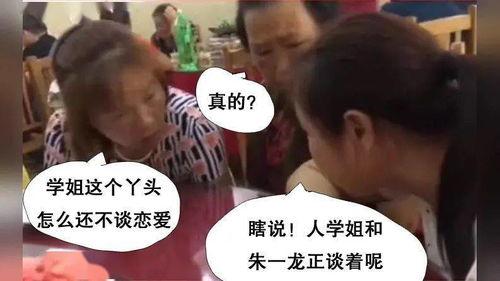 好奇的吃瓜,揭秘好奇吃瓜背后的故事与趣味