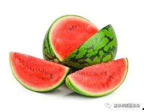 各主播吃瓜大树,揭秘各路主播的吃瓜大树传奇