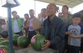 宿院吃瓜事件吃瓜群众,揭秘校园八卦背后的真相