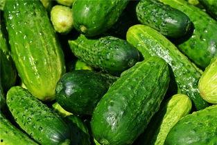 梦到吃洋瓜,洋瓜美食之旅