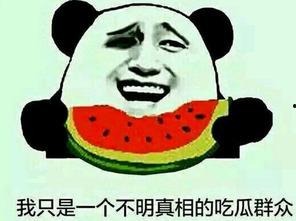 陈允浩吃瓜群众,吃瓜群众的视角解读娱乐圈风云