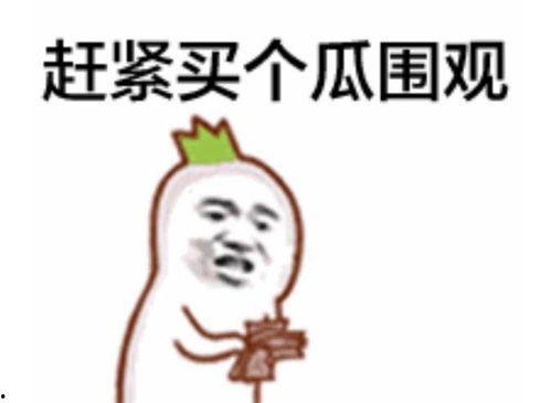 陈允浩吃瓜群众,吃瓜群众的视角解读娱乐圈风云