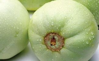 糖尿病胖子吃瓜,美味与健康的完美结合