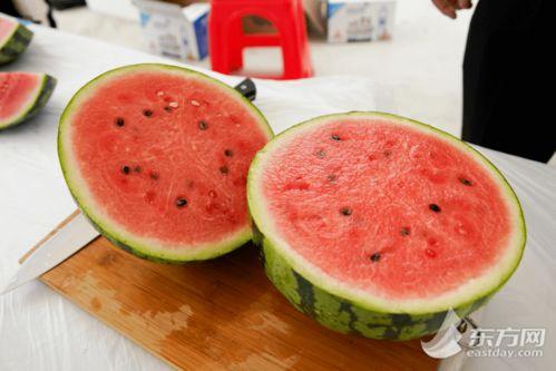 上海天华吃瓜,吃瓜群众的美食盛宴