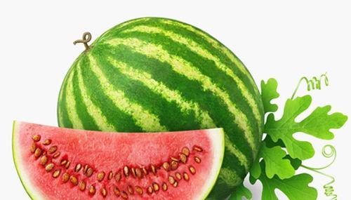 51吃瓜潮养,揭秘网络热议背后的秘密与乐趣