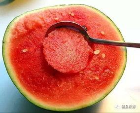 盐山吃瓜群,揭秘民间趣味生活圈