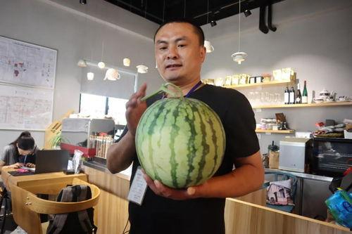 吃瓜直播芭蕉心,揭秘网红背后的真实情感世界