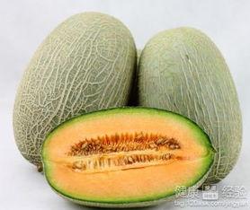 贤淑吃哈密瓜,哈密瓜的甜蜜诱惑