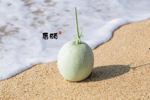 在日本吃玫珑瓜,品尝清新爽口的玫珑瓜佳肴