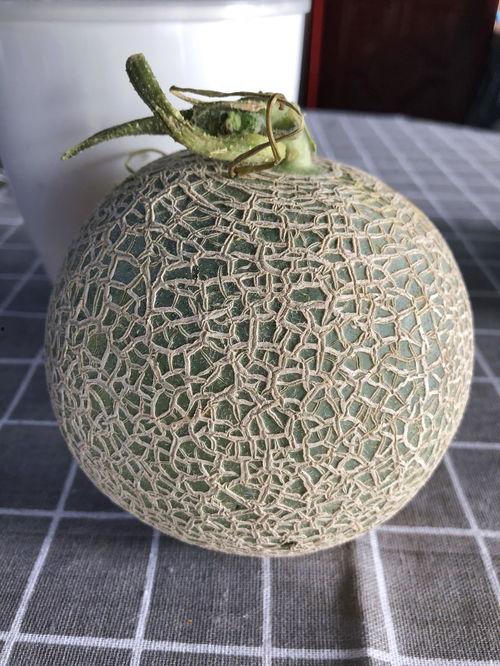 在日本吃玫珑瓜,品尝清新爽口的玫珑瓜佳肴