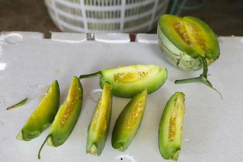 辽宁玉瓜怎么吃  第1张