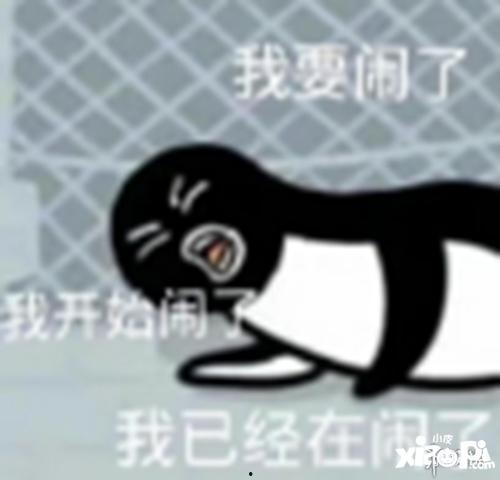 吃大瓜睡不着
