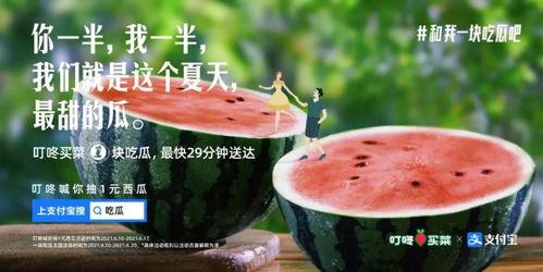 最新吃瓜文案100个,揭秘娱乐圈幕后真相与趣味瞬间  第2张