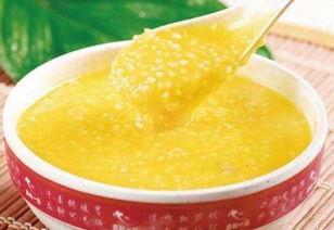 银渐层可不可以吃哈密瓜,银渐层猫咪的哈密瓜饮食探索  第2张