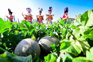 国内外吃瓜,揭秘国内外热门事件背后的“瓜”文化  第2张